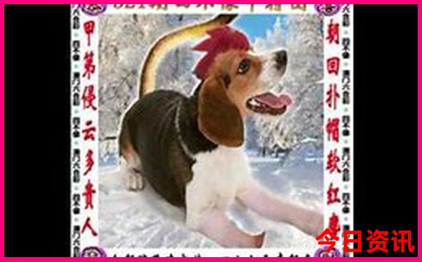 日本关西游玩最佳路线